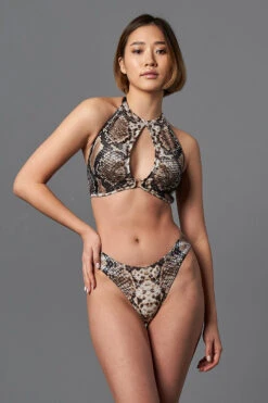 Shark Polewear Boston Shorts - Snake 10 Shark Polewear Boston Shorts - Snake -Pole Dance Clothing Shop 09.12.20 06730