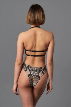 Shark Polewear Boston Shorts - Snake 11 Shark Polewear Boston Shorts - Snake -Pole Dance Clothing Shop 09.12.20 06735