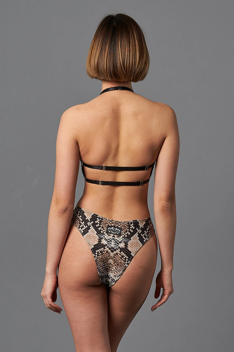 Shark Polewear Boston Shorts - Snake 4 Shark Polewear Boston Shorts - Snake - Image 4