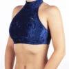Dragonfly Lisette Top - Velvet Blue