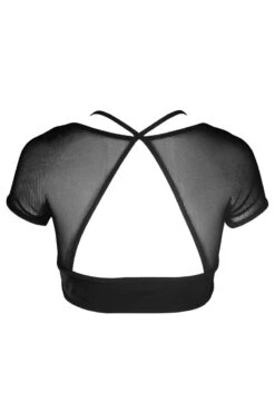 Hamade Activewear Mesh Hollow Front Crop Top - Black -Pole Dance Clothing Shop AW04 2