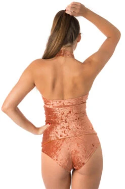 Dragonfly Lisette Top - Velvet Bronze -Pole Dance Clothing Shop Bronze 9 1800x1800 0e7052a6 bff2 4102 854f 9a3e2dd908a6