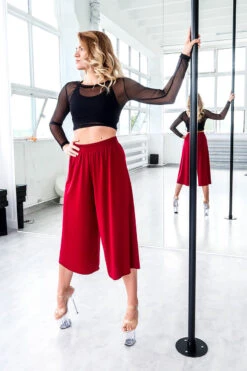 REV ACTIV Mesh Long Sleeved Crop Top - Black -Pole Dance Clothing Shop IMG 6339 1 793feba1 083c 4f70 a3c9 3d16b9cb4dea 1