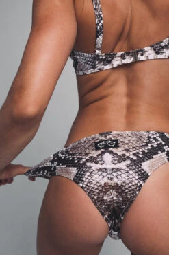 Shark Polewear Boston Shorts - Snake 12 Shark Polewear Boston Shorts - Snake -Pole Dance Clothing Shop bostonsnake5