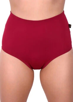 Cleo The Hurricane Essential High Waisted Shorts - Merlot -Pole Dance Clothing Shop ess hw mer3