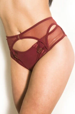 Tatiana Activewear Kaizen Shorts - Burgundy 14 Tatiana Activewear Kaizen Shorts - Burgundy -Pole Dance Clothing Shop kaizen1 5666c56d 1baa 4f4b 9d4e 62a3a290a27f