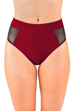 Dragonfly Molly Shorts - Burgundy Mesh 7 Dragonfly Molly Shorts - Burgundy Mesh -Pole Dance Clothing Shop msr1