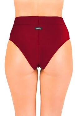 Dragonfly Molly Shorts - Burgundy Mesh 6 Dragonfly Molly Shorts - Burgundy Mesh -Pole Dance Clothing Shop msr3